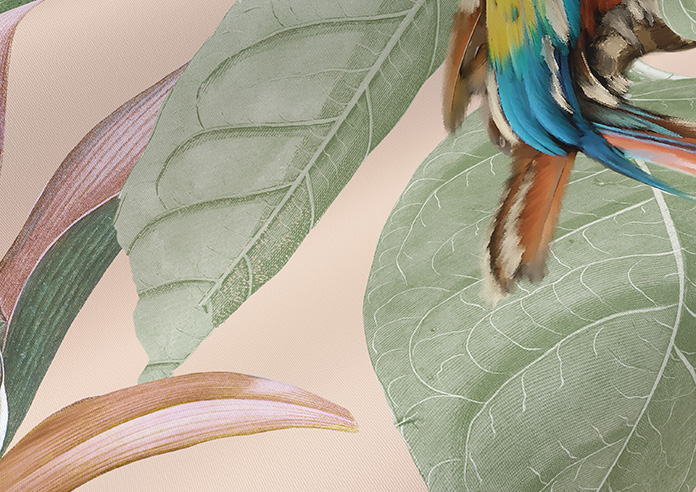 Parrot, Peach Ice - Roller Blind - Image 4